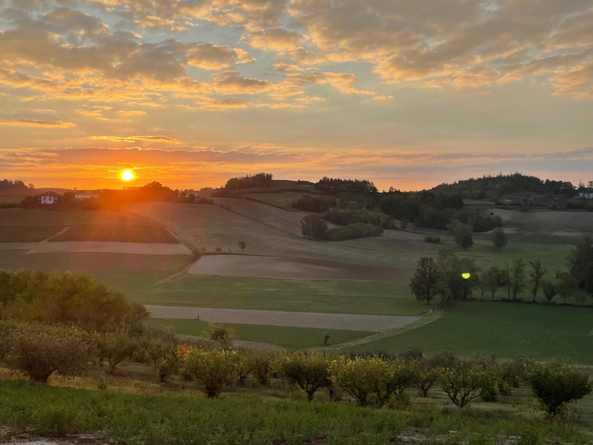 Azienda Agricola Tenuta del Barone Calliano  Bagian luar foto