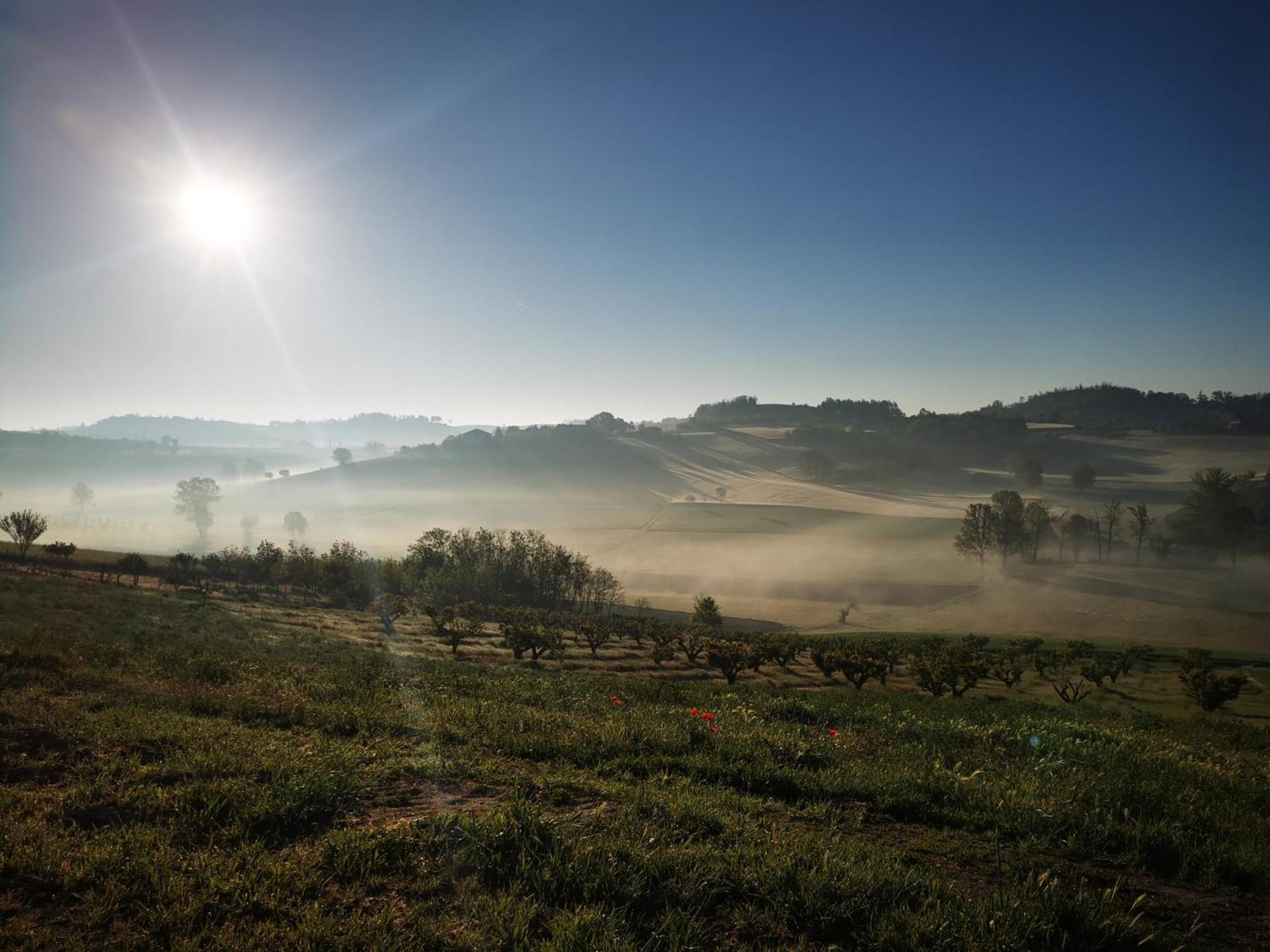 Azienda Agricola Tenuta del Barone Calliano  Bagian luar foto