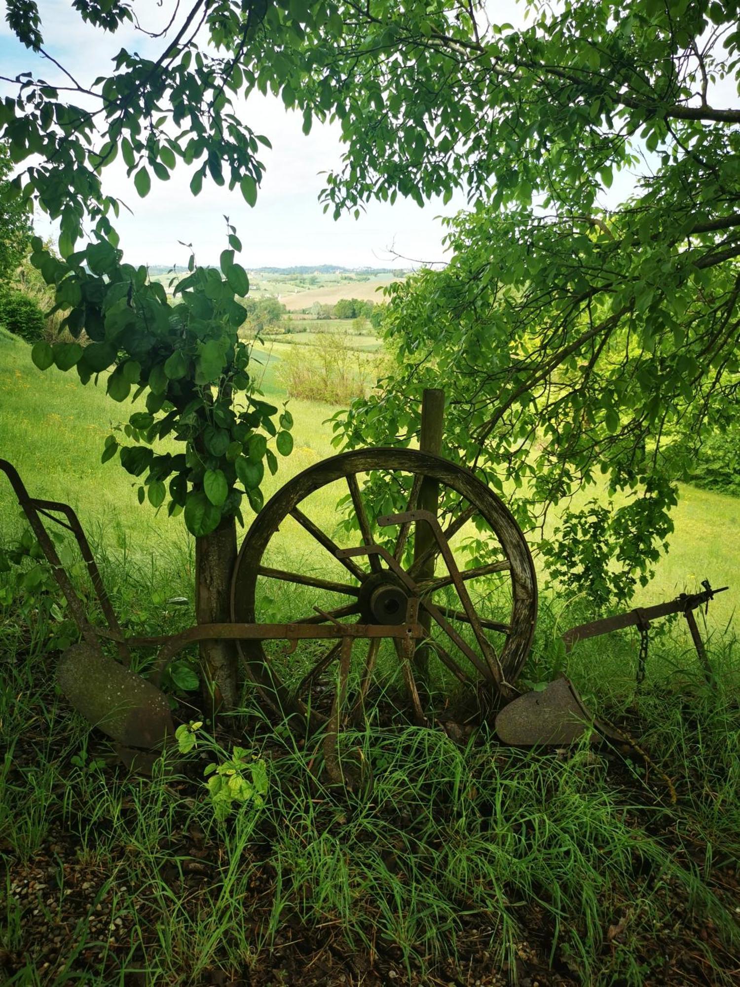 Azienda Agricola Tenuta del Barone Calliano  Bagian luar foto